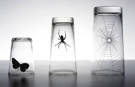 Комплект интересни чаши Web